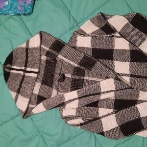 Elon, small, black white and gray